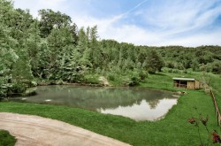 Spring fed pond on side of cabin