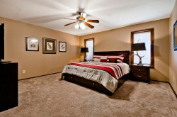Master bedroom with king